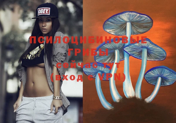 амф Алексин