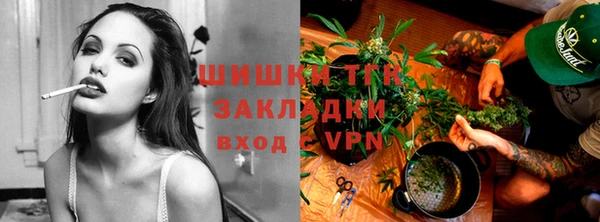 прущая мука Алзамай