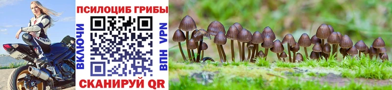 Псилоцибиновые грибы Psilocybine cubensis  Павлово 